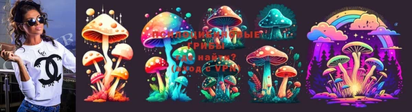 крисы Балахна