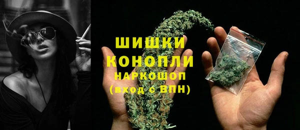 крисы Балахна