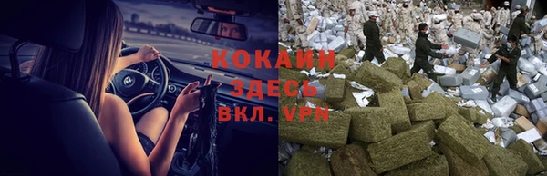 крисы Балахна