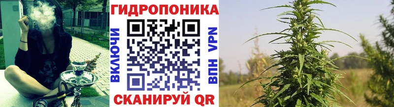 наркошоп Гремячинск ссылка на мегу ссылка Шишки марихуана сатива